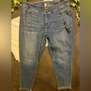 Lane Bryant High Rise Skinny Ankle Jeans 26 NWT